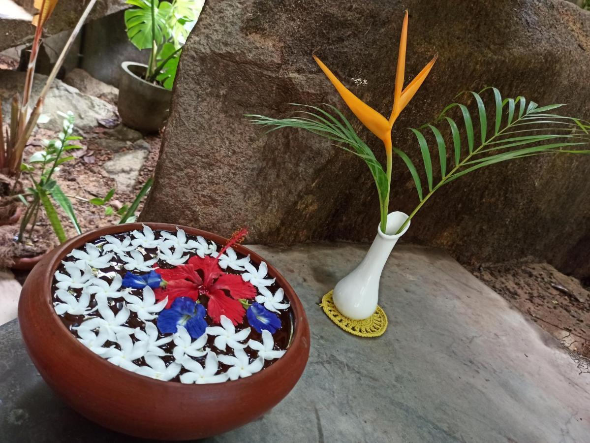 Butterfly Jewel Bed & Breakfast Unawatuna Exterior foto